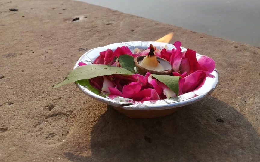 Coupe de fleurs roses et blanches au bord de l’eau.