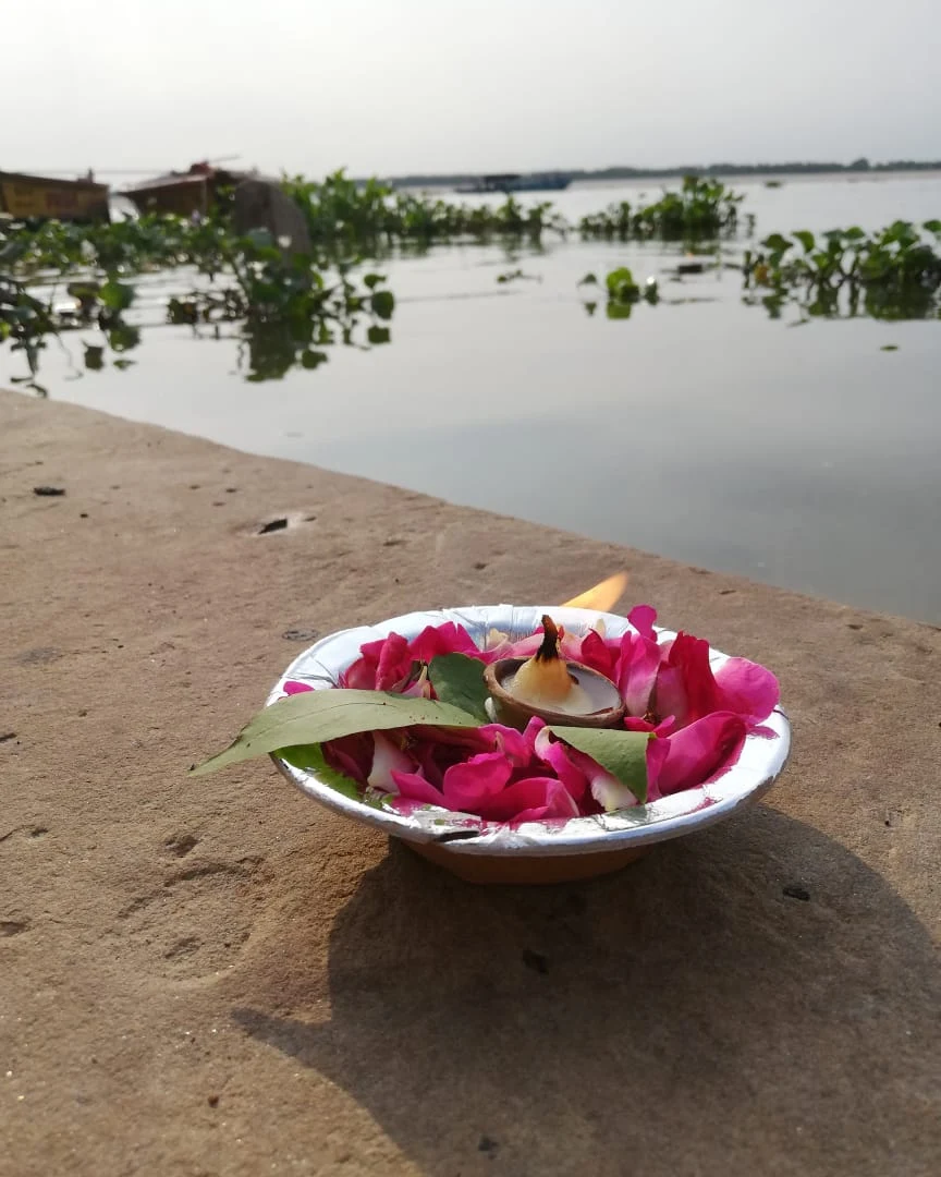 Coupe de fleurs roses et blanches au bord de l’eau.